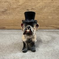 Chalkware Hat Bulldog