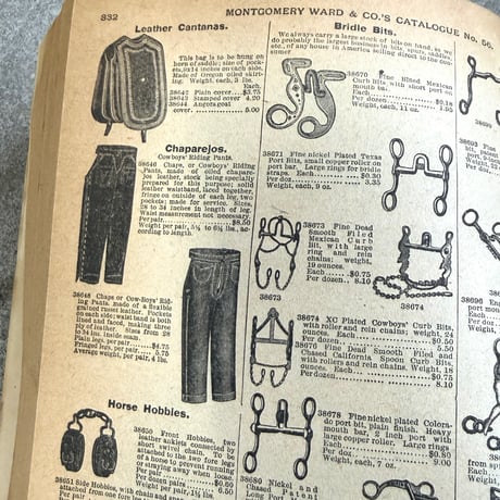 1894-1895 Montgomery Ward Catalog