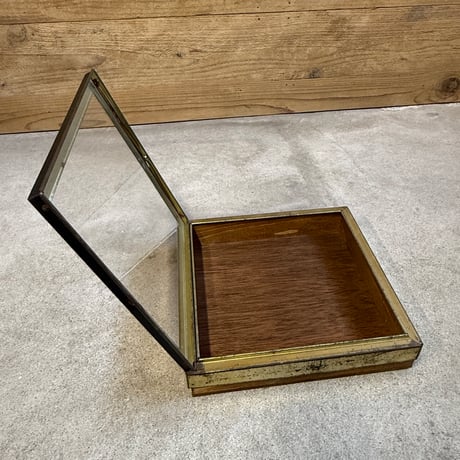 Biscuit Display Case