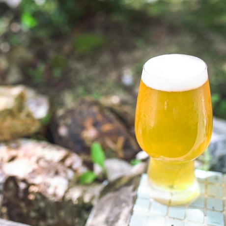 Human's Drink / ヒューマンズドリンク　〈Dip Hop IPA〉