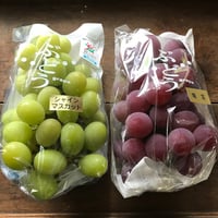竜宝＋シャインマスカット 期間限定セット　　☆すぐお送りできます