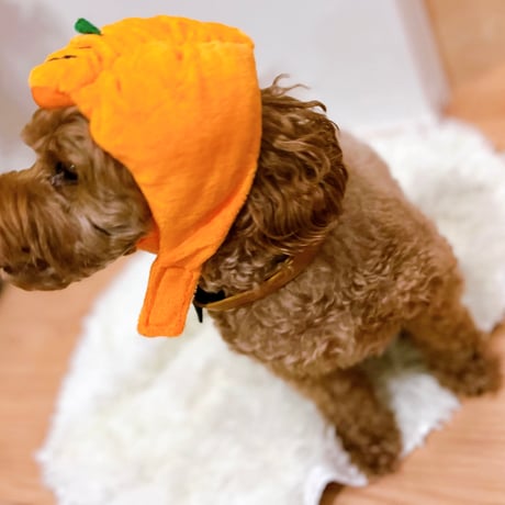 🎃 かぼちゃ帽子