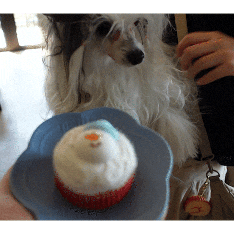 コミフ Cat＆Dogのチーズケーキ風