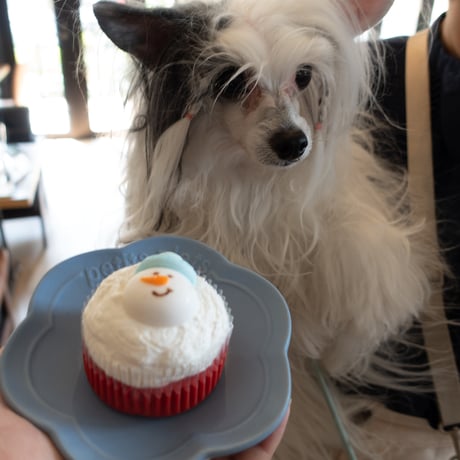 コミフ Cat＆Dogのチーズケーキ風