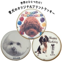 【配送】コミフPETS　Doggiesフォトプリントクッキー