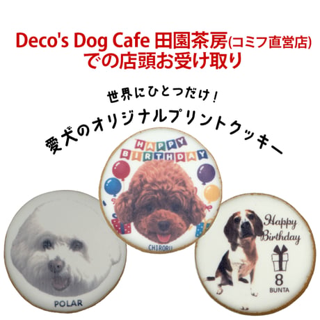 【Deco's Dog Cafe 田園茶房(コミフ直営店)でのお受け取り】コミフPETS　Doggiesフォトプリントクッキー  のコピー