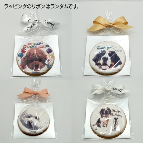 【配送】【季節限定デザイン】コミフPETS　Doggiesフォトプリントクッキー