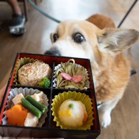 コミフデリ お正月料理（8品）