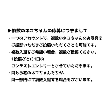 コミフ　なめ猫とお祝い肉球ムース