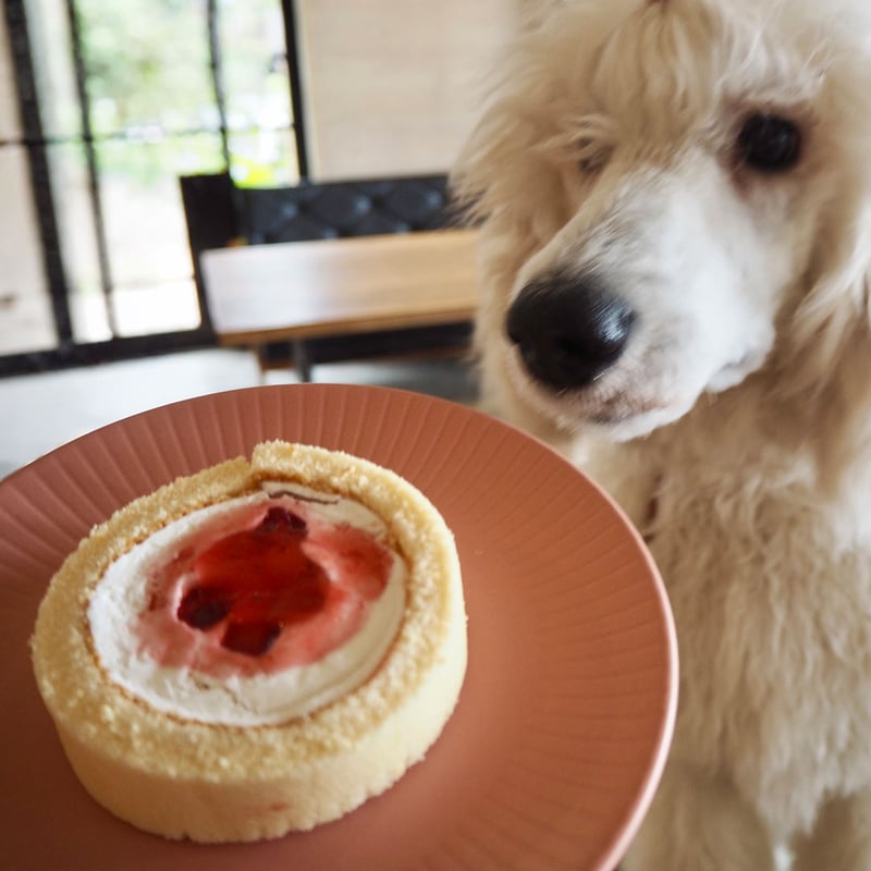 コミフ ロールケーキイチゴ | comif(コミフ)ワンちゃんのスイーツ＆デリ
