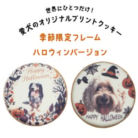 【配送】【季節限定デザイン】コミフPETS　Doggiesフォトプリントクッキー