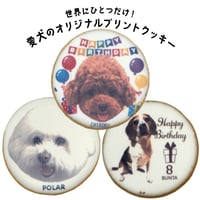 【配送】コミフPETS　Doggiesフォトプリントクッキー