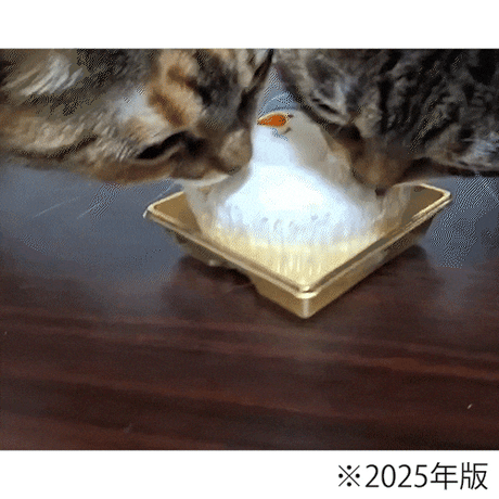 ★コミフ ねこちゃんと楽しむ年末セット★