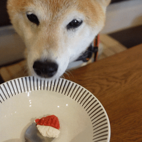 コミフ Cat＆Dogのチーズケーキ風