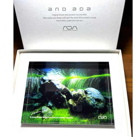 CATEGORY その他 | Aquarium Shop and Cafe BONO