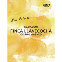 50g トップスペシャルティ/ECUADOR Finca Llabecocha / Geisha