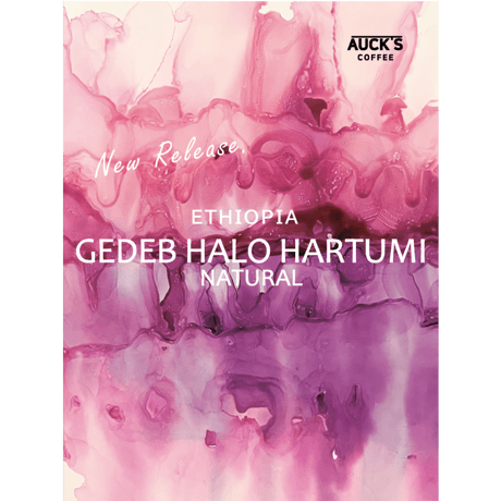 100g/250g スペシャルティ / ETHIOPIA Gedeb halo hartumi