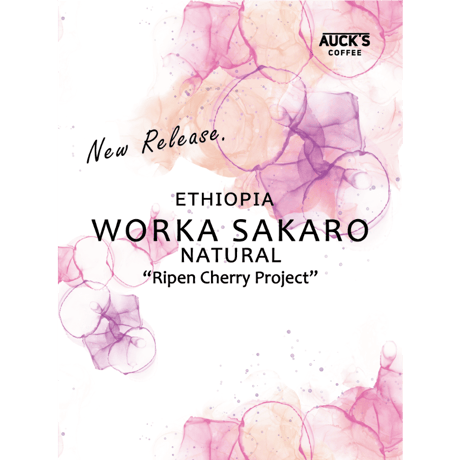 100g/250g スペシャルティ / ETHIOPIA  Worka Sakaro / Natural 完熟チェリープロジェクト