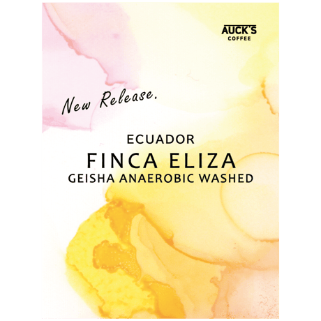 50g トップスペシャルティ/ECUADOR Finca Eliza Geisha Anaerobic Washed