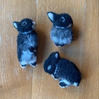 ［ここあちゃん専用］