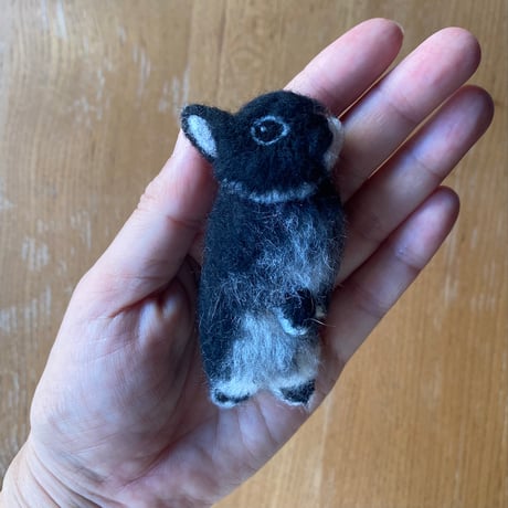 ［ここあちゃん専用］