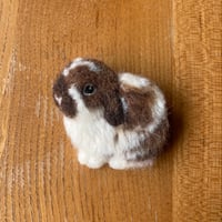 ［福丸ちゃん専用］