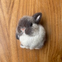 ［トンカチちゃん専用］