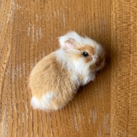 ［いちごちゃん専用］