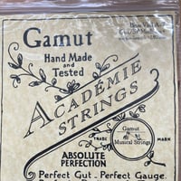 Gamut ガット弦 ヴァイオリン D線(Pistoy) Heavy+ 1.10 Varni