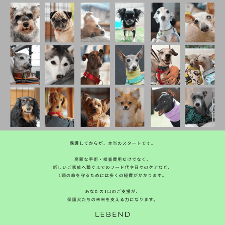 【単発支援1,000円】（デジタルサンクスカード付）