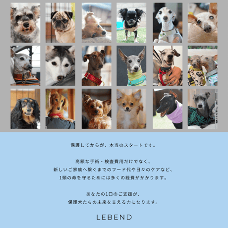 【単発支援 5,000円】デジタルサンクスカード付