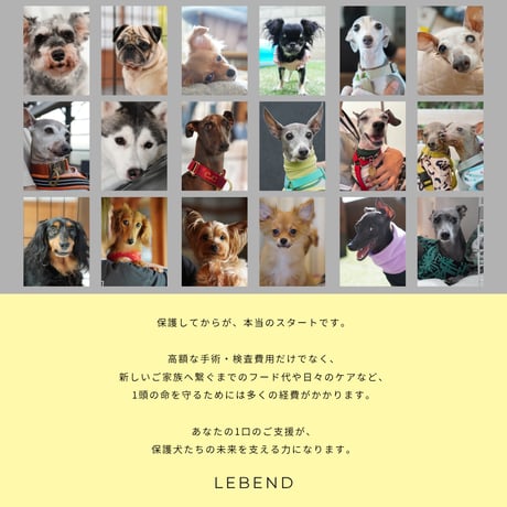 【単発支援 3,000円】デジタルサンクスカード付