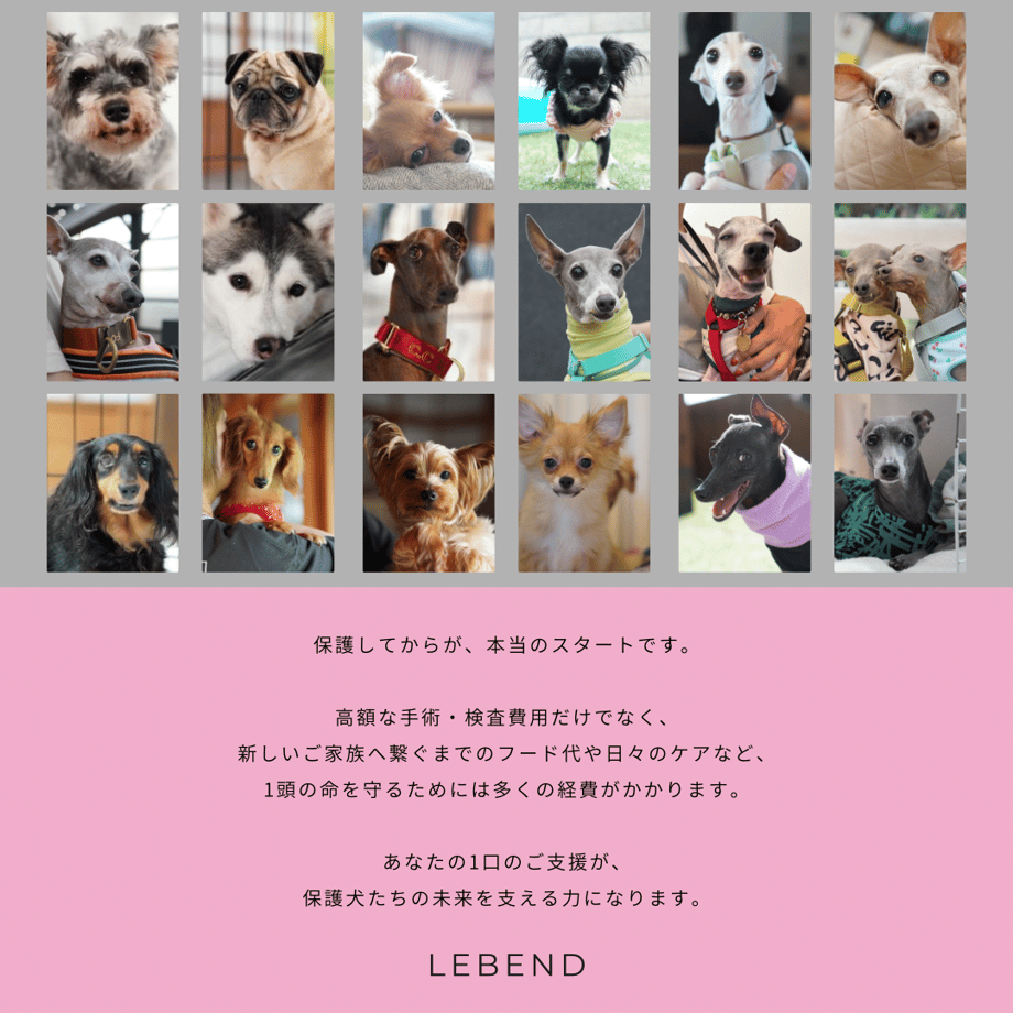6a71e30cb5941fa8e12626a5