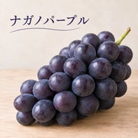 【ナガノパープル】　2026年販売終了