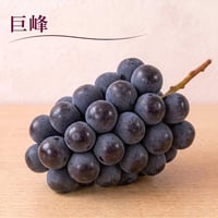 【巨峰】　2026年販売終了