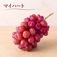 【マイハート】　2026年販売終了