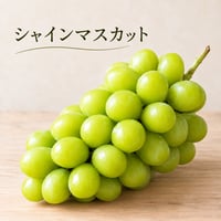 【シャインマスカット】