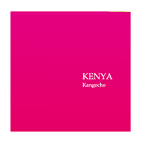 “200g” KENYA Kangocho AA Fully Washed  (浅煎り)