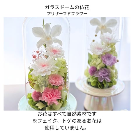 プリザーブドフラワーお供え花ガラスドーム　清蘭~優華ゆうか～お供え お盆 御供 四十九日 命日 法事 法要 回忌 お彼岸 新盆 初盆 蘭 お仏壇花 お悔み