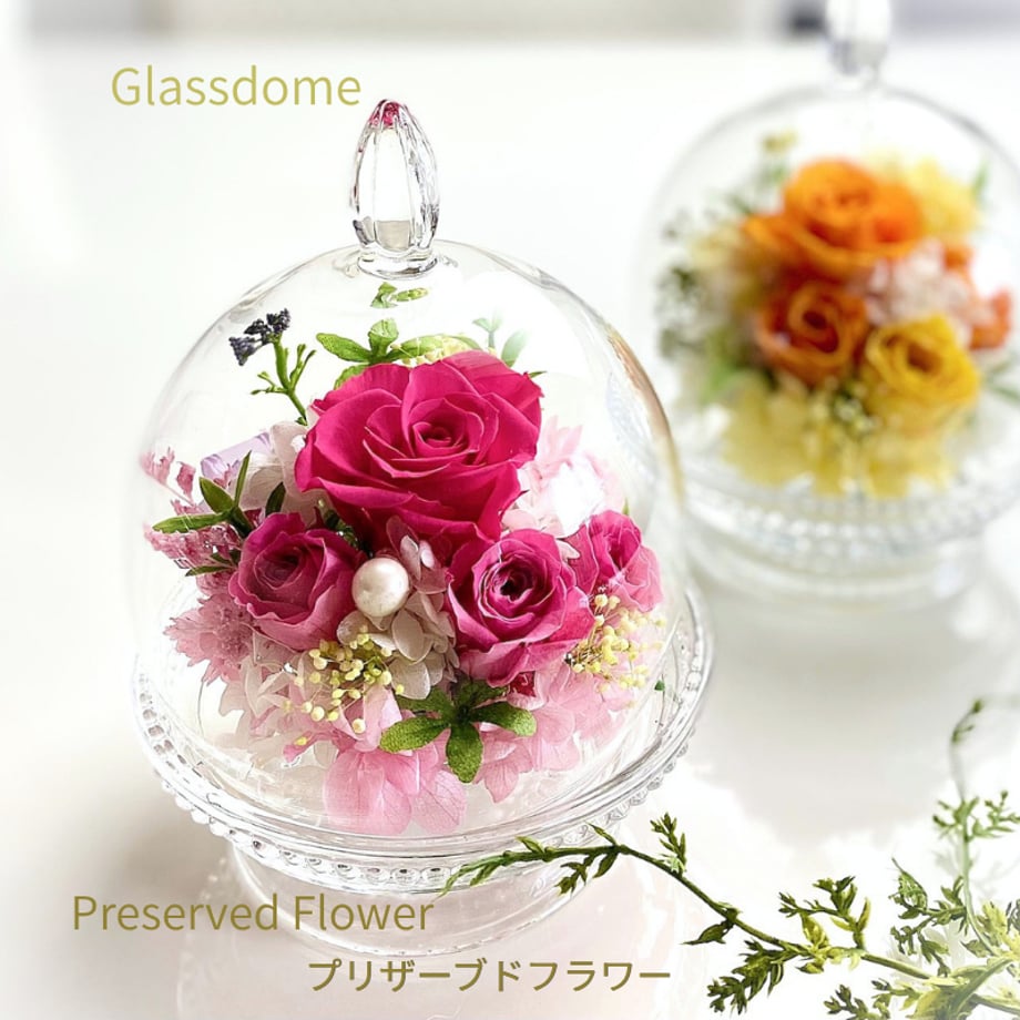 69d34fffc3470259c608f38f