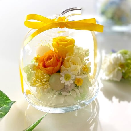 ガラスドーム  アップル お誕生日プレゼント 記念日 母の日 開店開業祝い  結婚記念日 送別 定年 父の日 敬老の日 インテリア ホワイトデー