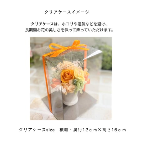 プリザーブドフラワー お誕生日 プレゼント  ホワイトデー 母の日 女友達  結婚 出産 歓迎会 敬老の日 発表会 感謝 お礼 お見舞い