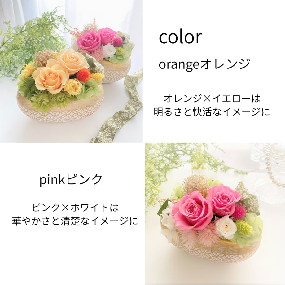 64f2ec96401c310036e6667a