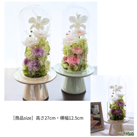プリザーブドフラワーお供え花ガラスドーム　清蘭~優華ゆうか～お供え お盆 御供 四十九日 命日 法事 法要 回忌 お彼岸 新盆 初盆 蘭 お仏壇花 お悔み
