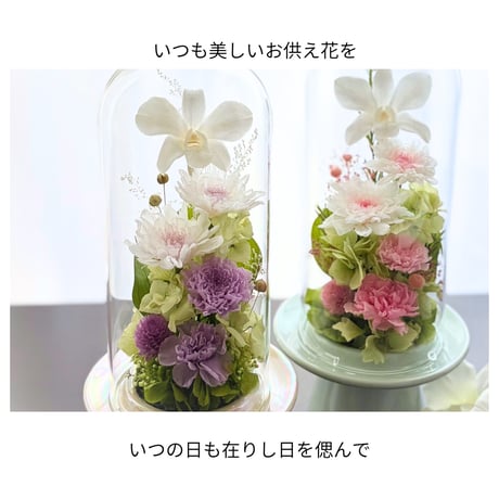 プリザーブドフラワーお供え花ガラスドーム　清蘭~優華ゆうか～お供え お盆 御供 四十九日 命日 法事 法要 回忌 お彼岸 新盆 初盆 蘭 お仏壇花 お悔み