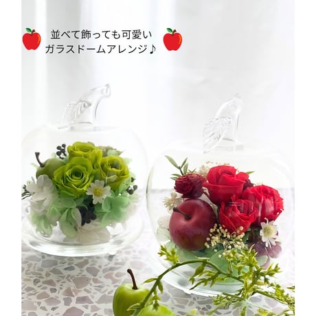 ガラスドーム  アップル お誕生日プレゼント 記念日 母の日 開店開業祝い  結婚記念日 送別 定年 父の日 敬老の日 インテリア ホワイトデー