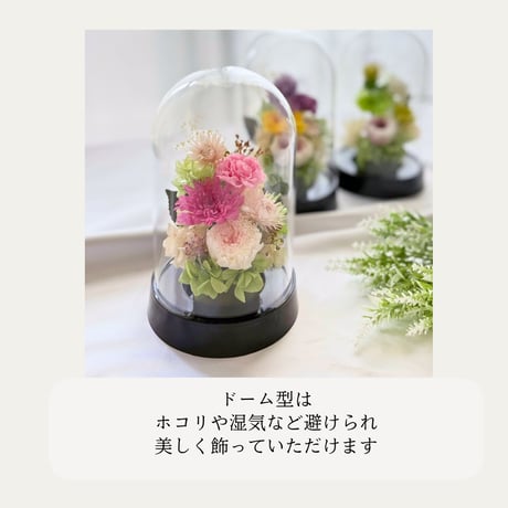プリザーブドフラワー仏花 ドーム型 輪菊 お彼岸 お盆 お仏壇 お悔み 命日 法要 新盆 初盆 法事 ドーム型 枯れない花 供養 ギフト