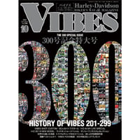 VIBES vol.300