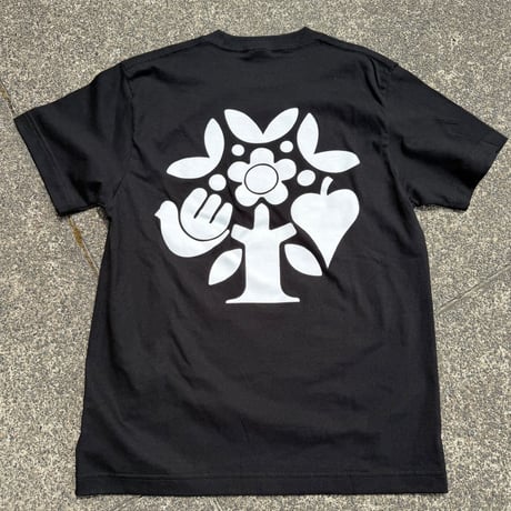 CANOLA LOGO TEE 2026