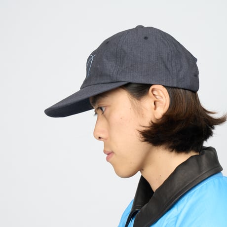 DIASPORA SKATEBOARDS SCRIPT LOW BALL CAP 3 COLORS